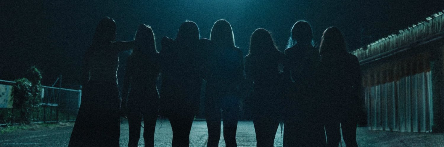 maoringo10's profile banner image