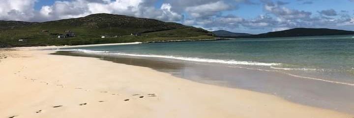 Lady Wombat 🐱🦀📚🇦🇲 🏴󠁧󠁢󠁳󠁣󠁴󠁿 banner