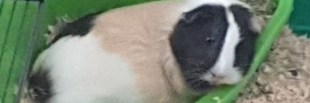 Michal12917813's profile banner image