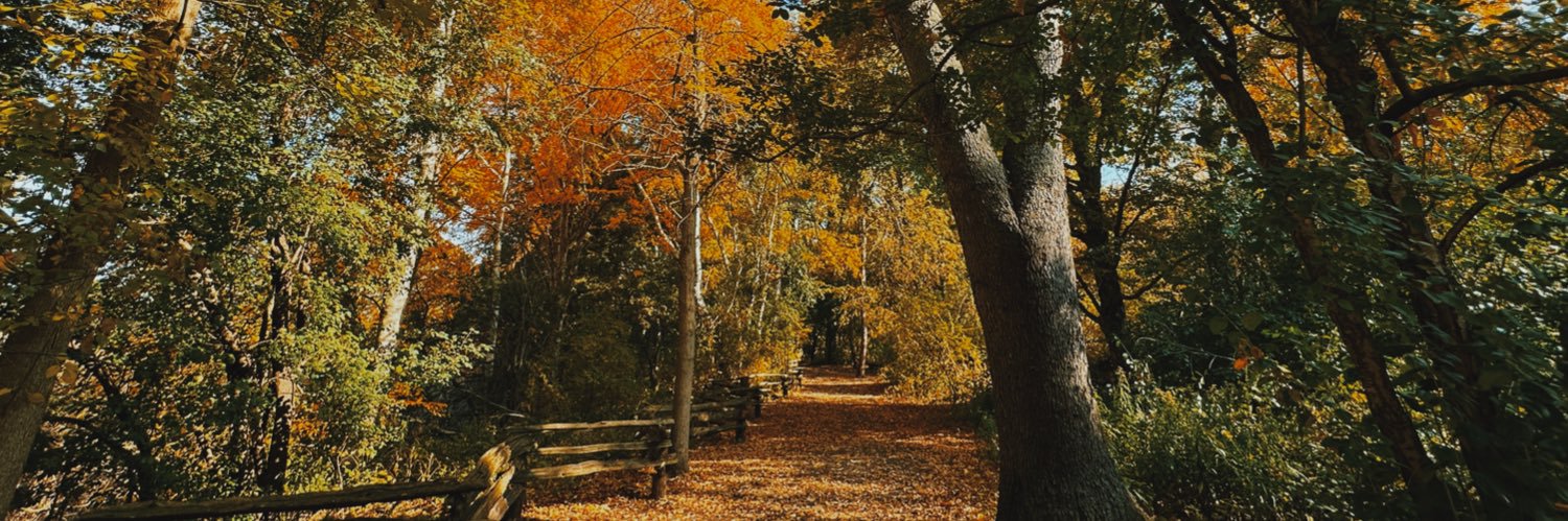 bethchapleau's profile banner image
