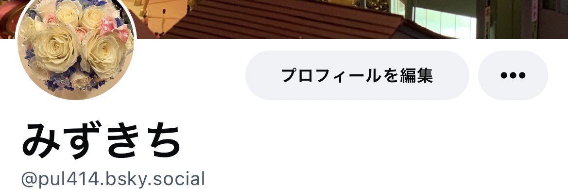 pul414's profile banner image