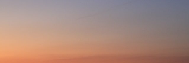 こがね banner