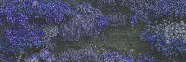 mystzi Profile Banner