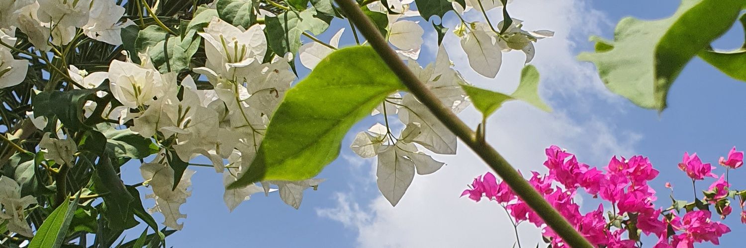 hlemh25's profile banner image