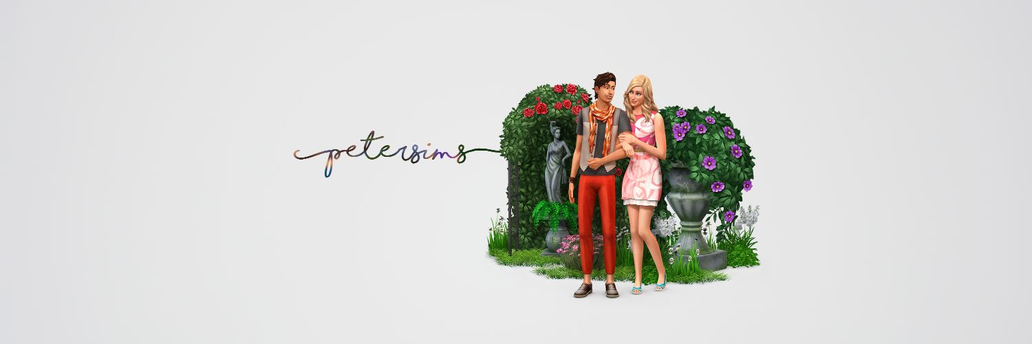 PeterSimsYT's profile banner image