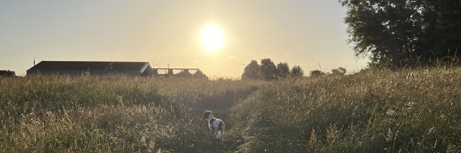 CalMcKay3's profile banner image