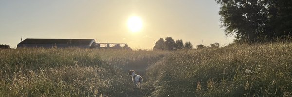 CalMcKay3 Profile Banner