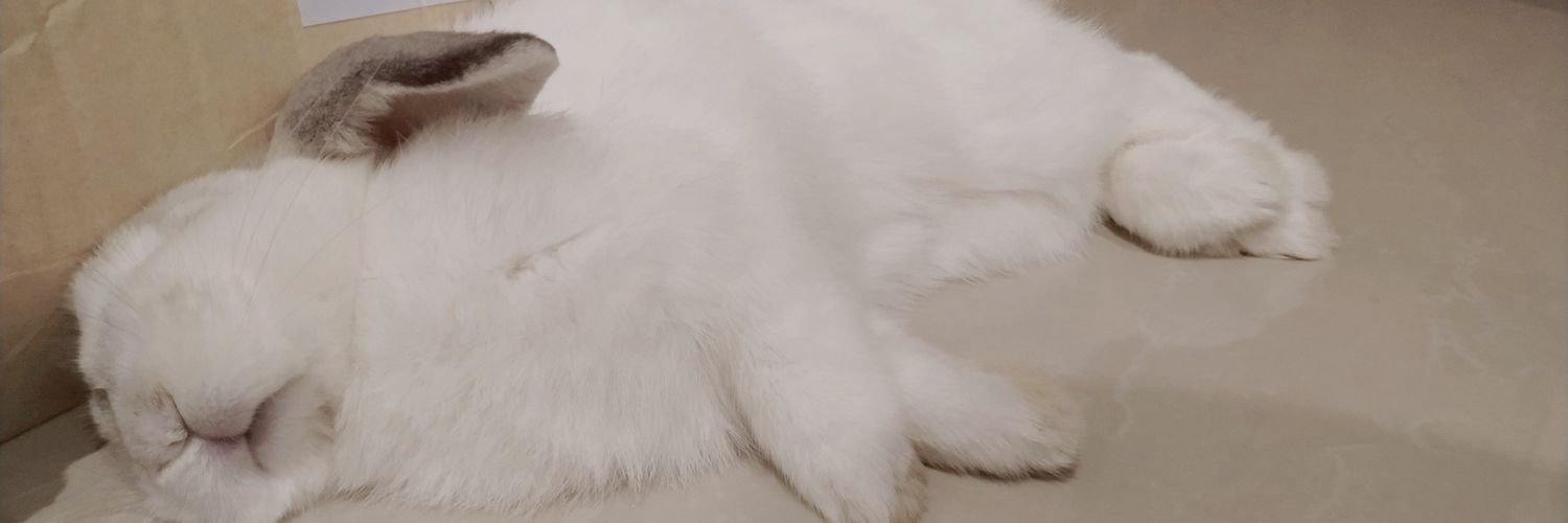luv_sugar's profile banner image