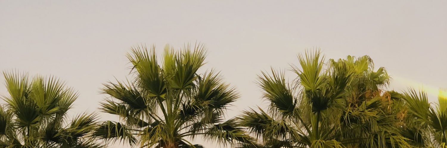 SimanyeJantjie2's profile banner image