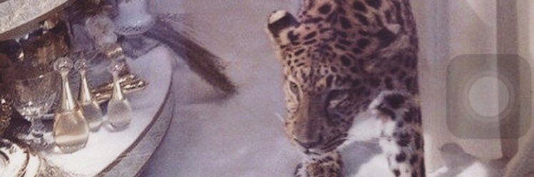 supreme being banner