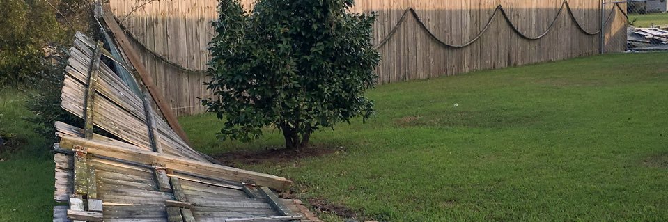 🤺Bill Fence 🇯🇲's banner