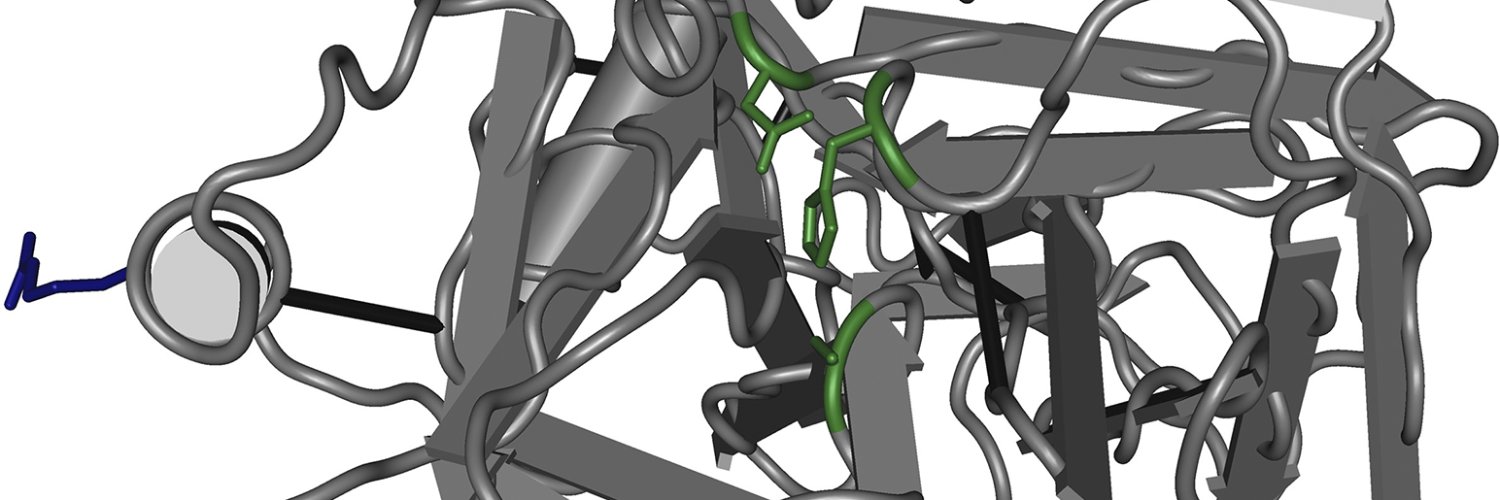 Ben Samelson-Jones, MD, PhD banner