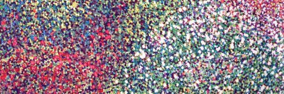 Jingle banner