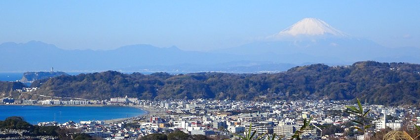 県士会サイト・ブログの更新情報／リハニュース banner