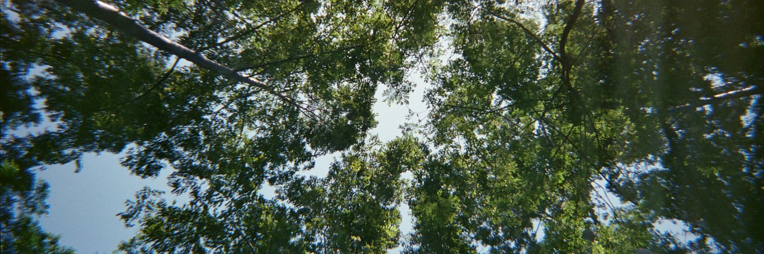 danshortyshort's profile banner image
