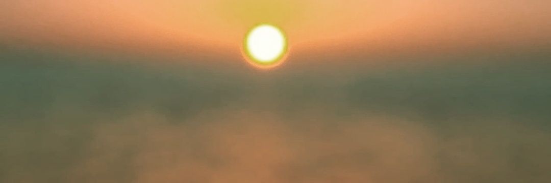 iaru_98's profile banner image