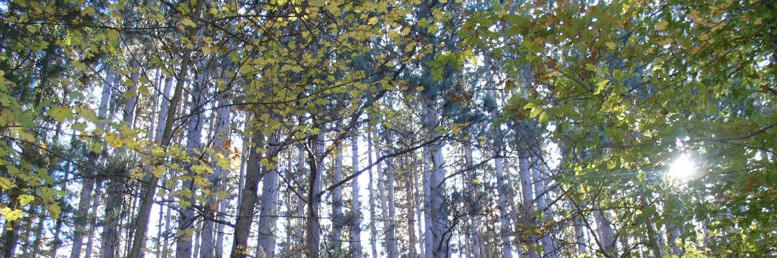 JakeJakeMcgillicutty banner