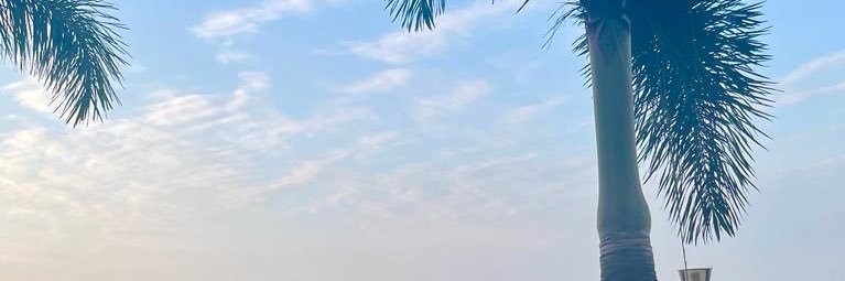 LTScarHS's profile banner image