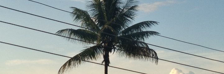 orvate_'s profile banner image