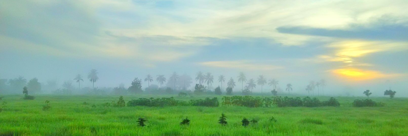 syid_lah's profile banner image