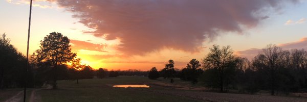 ravenousreader Profile Banner