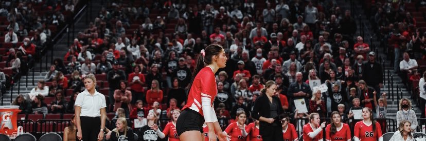 lily mccroden banner