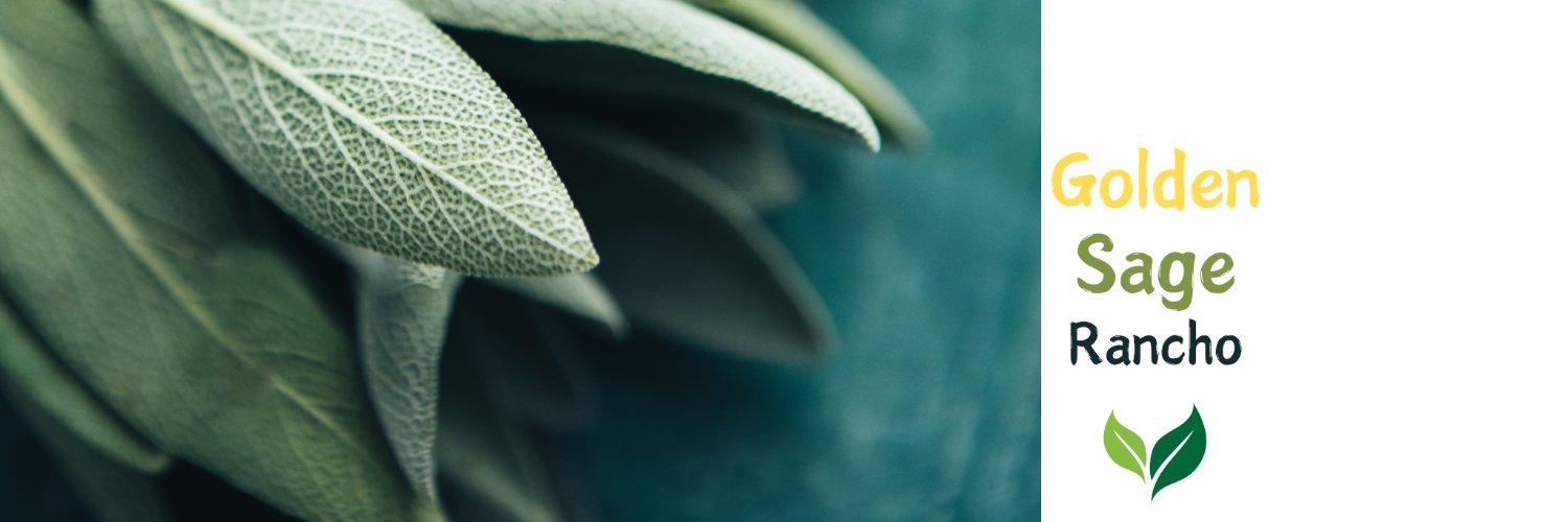 themoonmilli's profile banner image