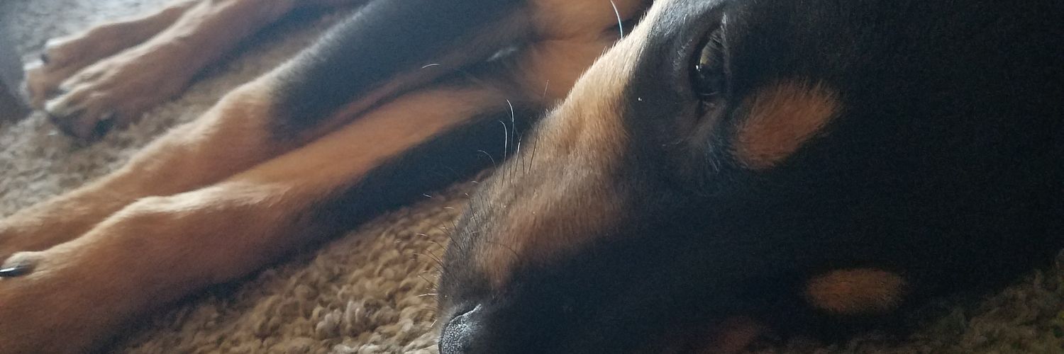 GreenShirtRob's profile banner image