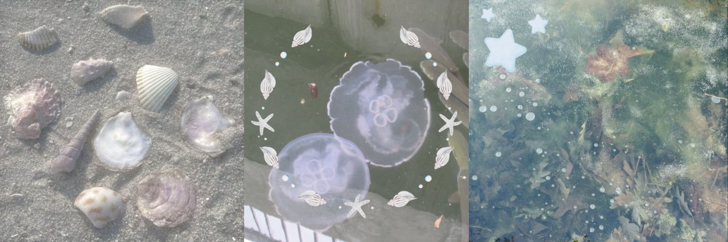 ‎✮⋆˙ banner