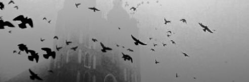 mvrderofcrows's profile banner image