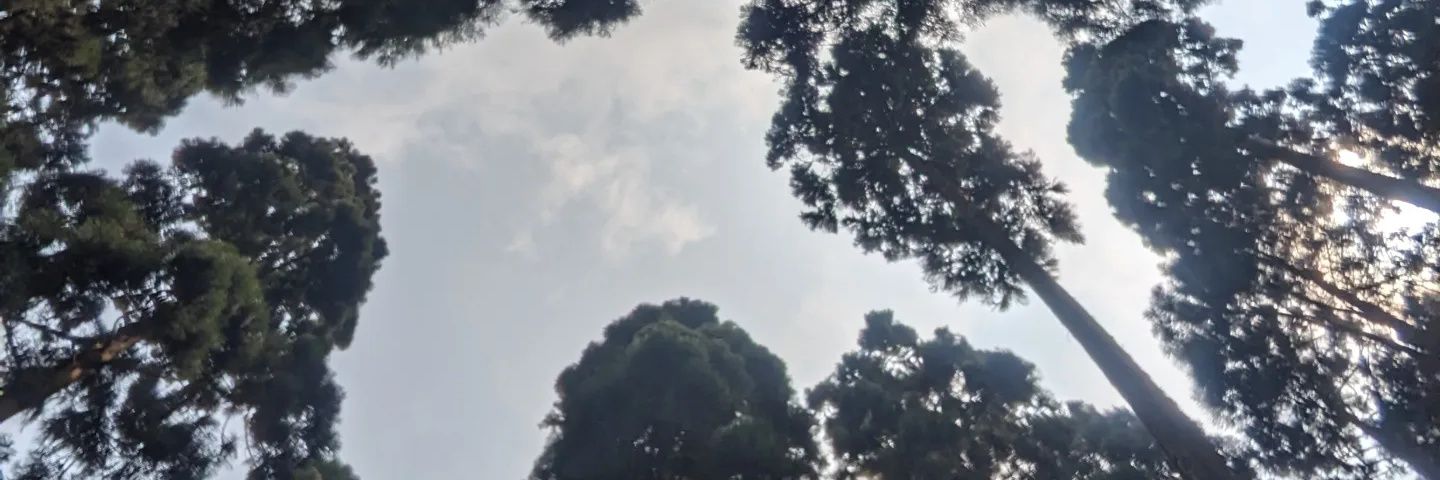 PushpanjaliRout's profile banner image