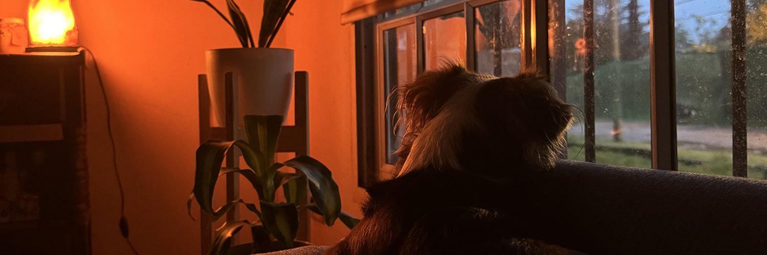 morenafalchi's profile banner image