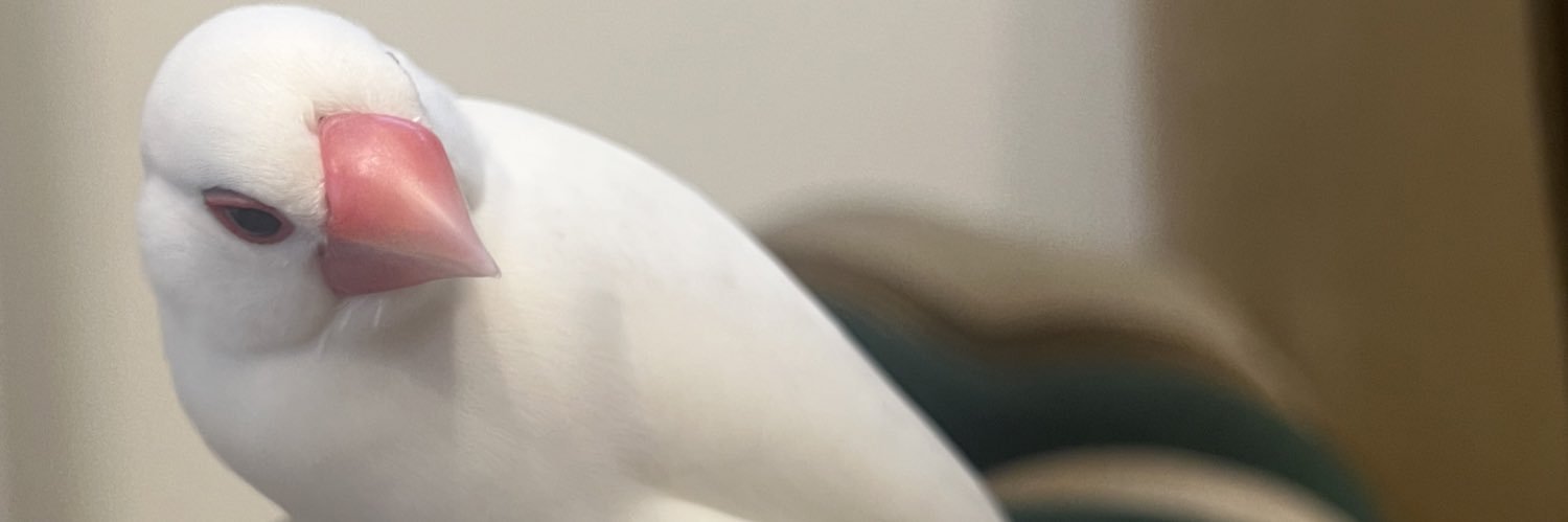 とろサーモン村田 banner