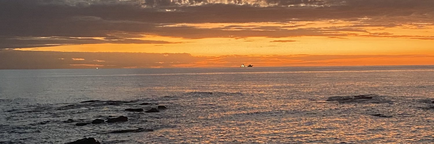 𝑃𝑎𝑚𝑒𝑙𝑎🦦 banner