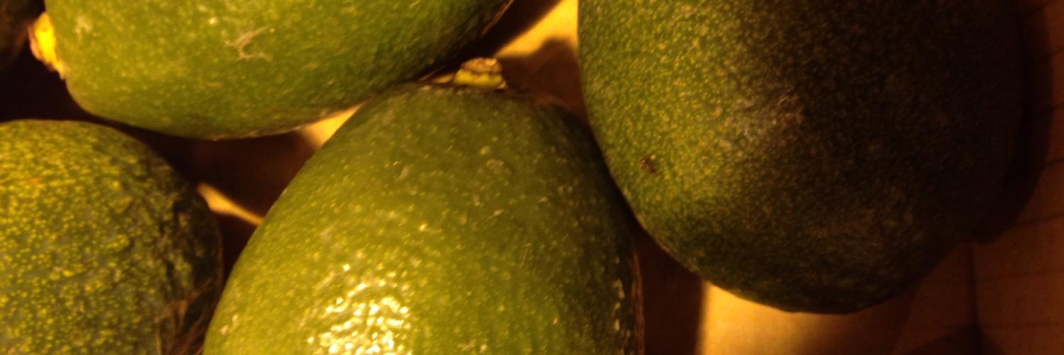 TheAvocadoCafe's profile banner image