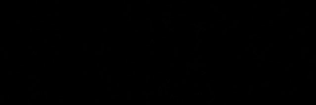 Muhammad Ehsan Siddique banner