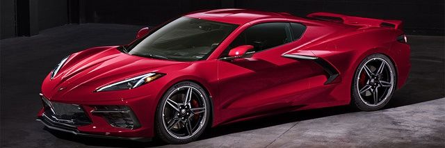 RaideningBird banner