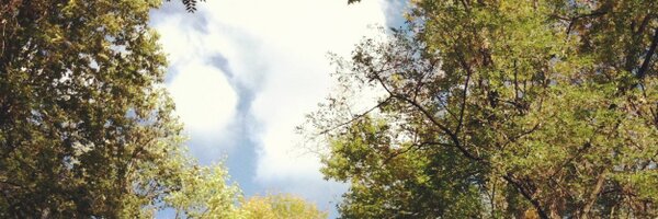 JonnyMicro Profile Banner