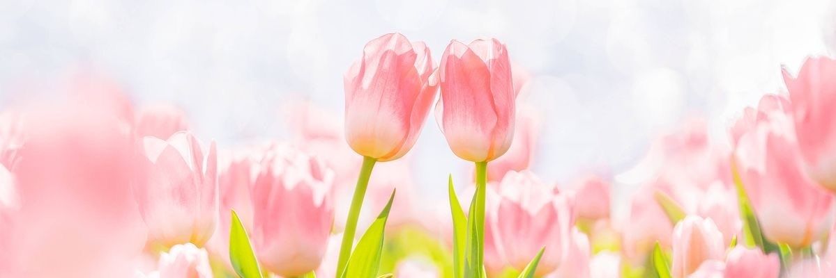 結衣 banner