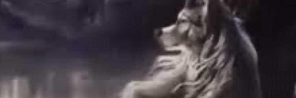 imma banner