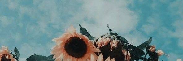 Nanad2411's profile banner image