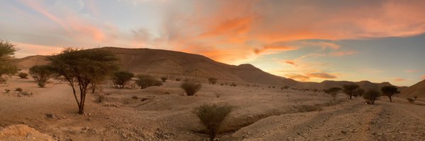 aldhahiKSA Profile Banner