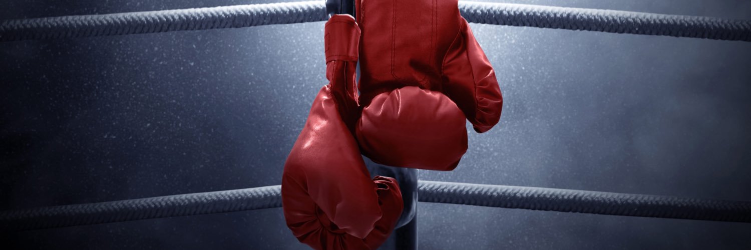 BoxerKevin93's profile banner image