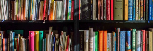 elachat_US Profile Banner