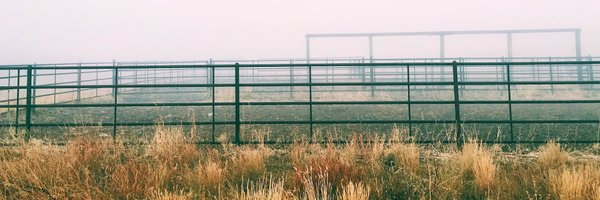 hdfeld Profile Banner