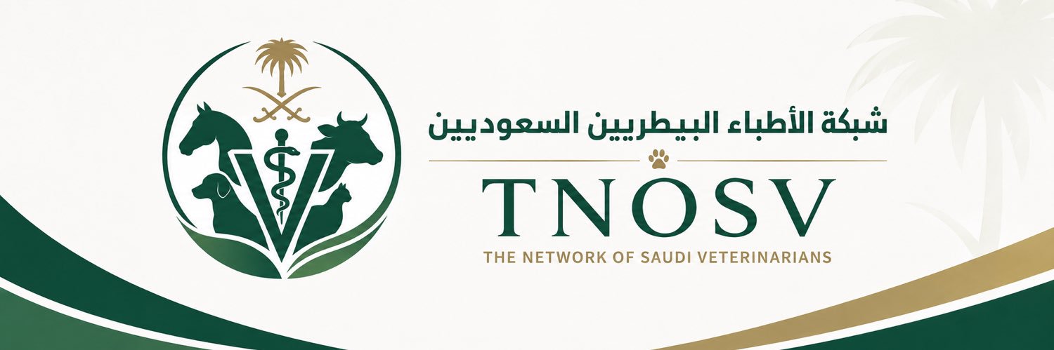 TNOSV's profile banner image