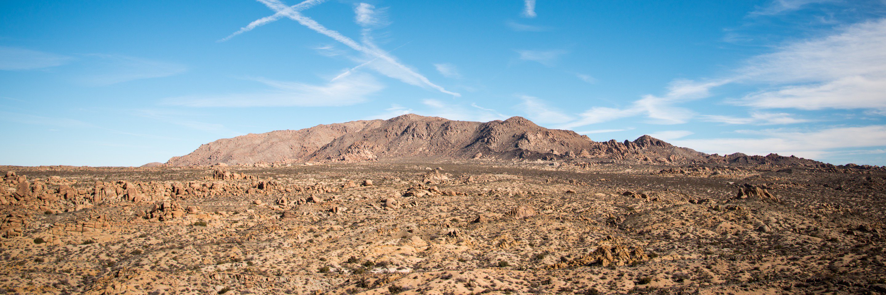 Taylor Straton banner