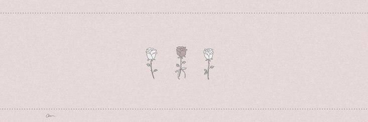 pi_nm25's profile banner image
