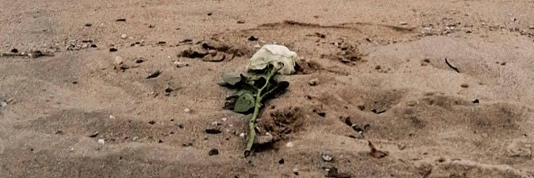 cigsafterlove's profile banner image