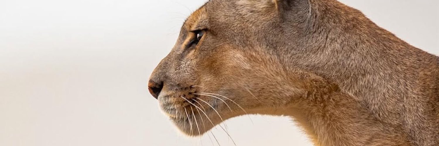 Majbyaa's profile banner image